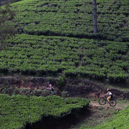 Heritance Tea Factory Nuwara Eliya Dış mekan fotoğraf