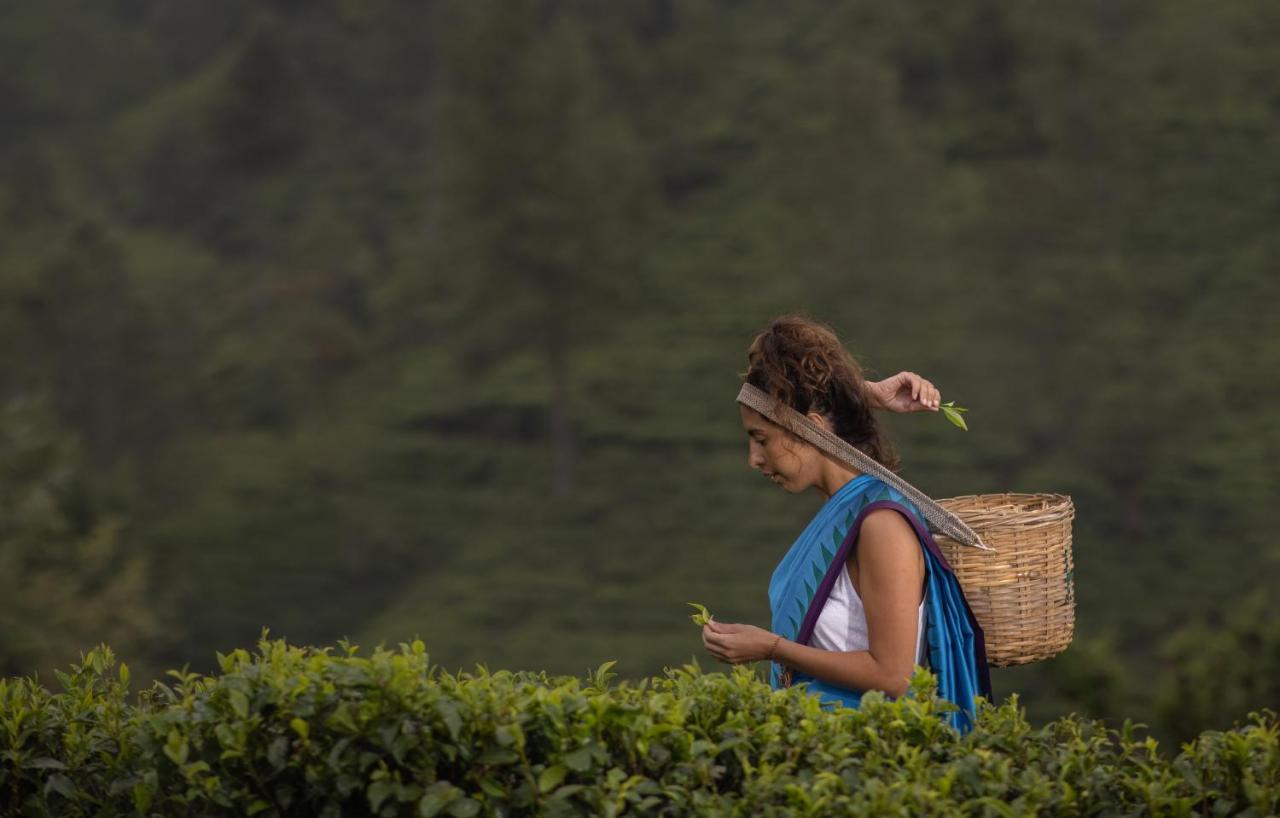 Heritance Tea Factory Nuwara Eliya Dış mekan fotoğraf