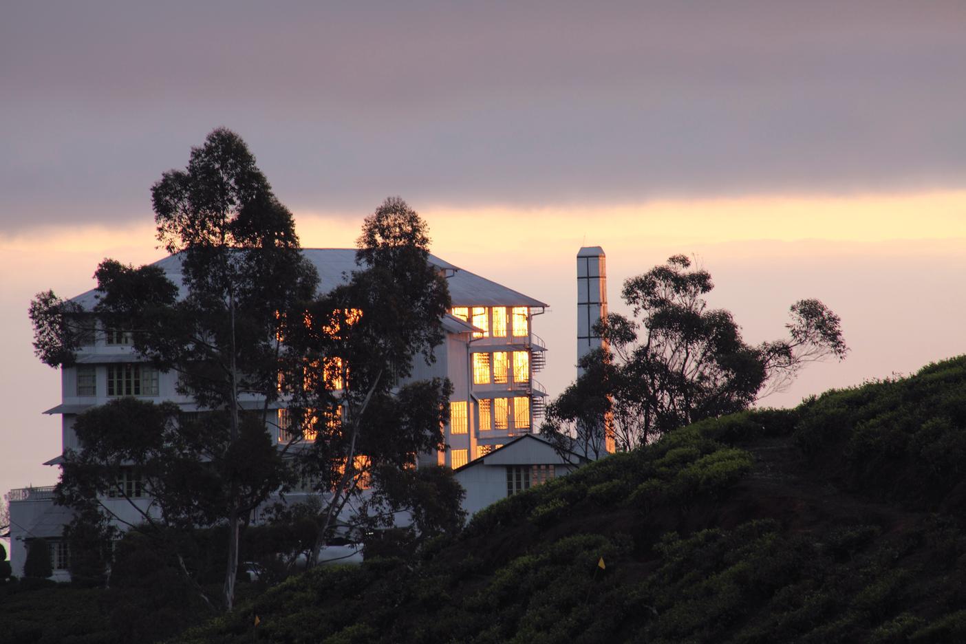 Heritance Tea Factory Nuwara Eliya Dış mekan fotoğraf